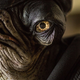 Admiral Raddus. May he rest in peace.